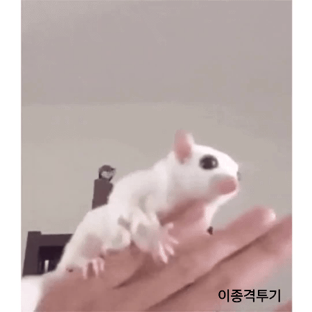 사람이 키우면 수명이 늘어나는 동물 | 인스티즈