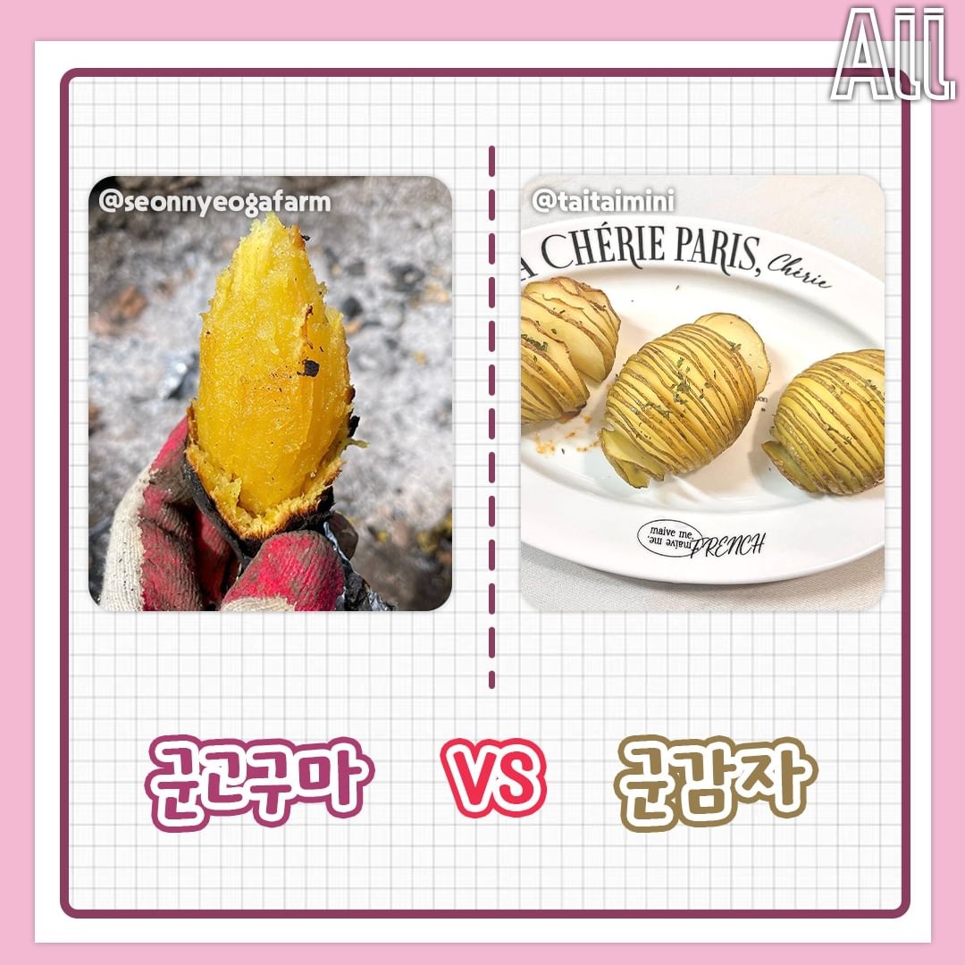 고구마 vs 감자 취향 고르기 | 인스티즈