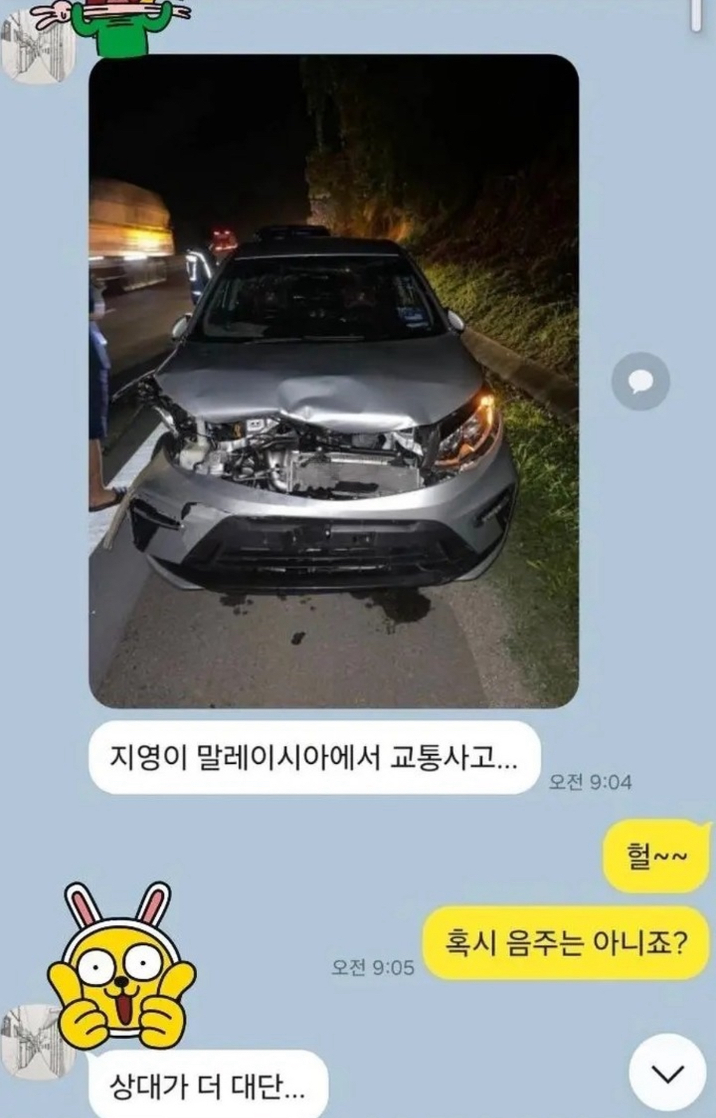  말레이시아의 흔한 로드킬