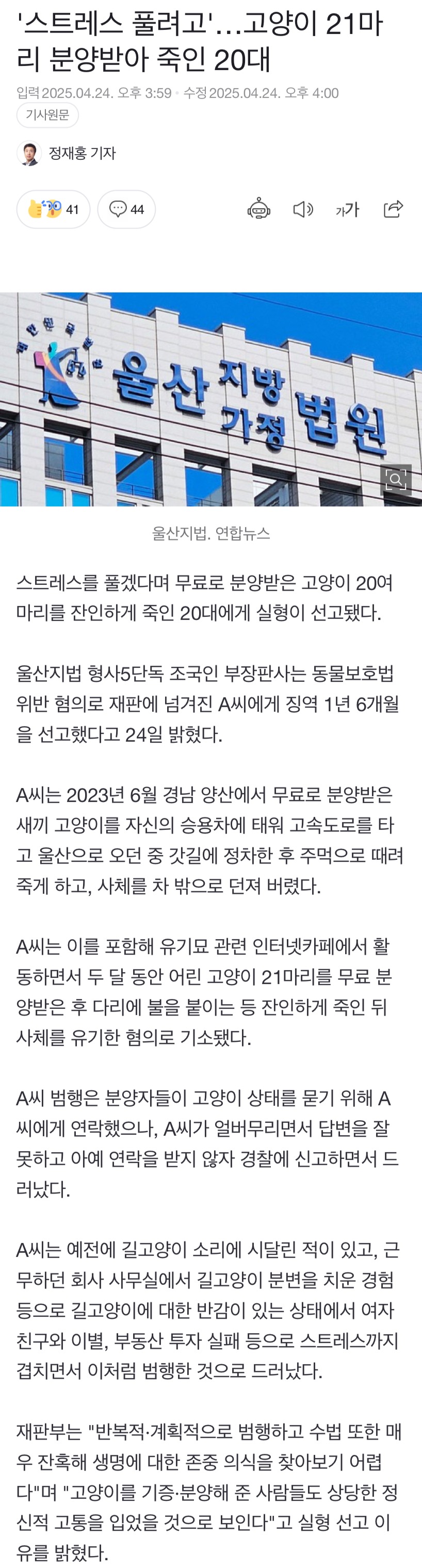 '스트레스 풀려고'…고양이 21마리 분양받아 죽인 20대(남성) | 인스티즈