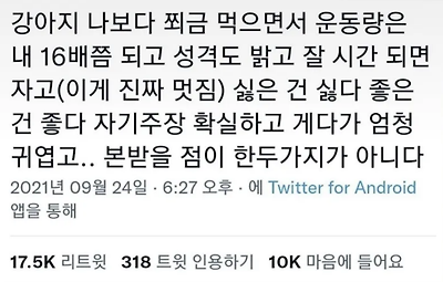 망할듯 망할듯 망하지 않는 것이 바로 인생 | 인스티즈