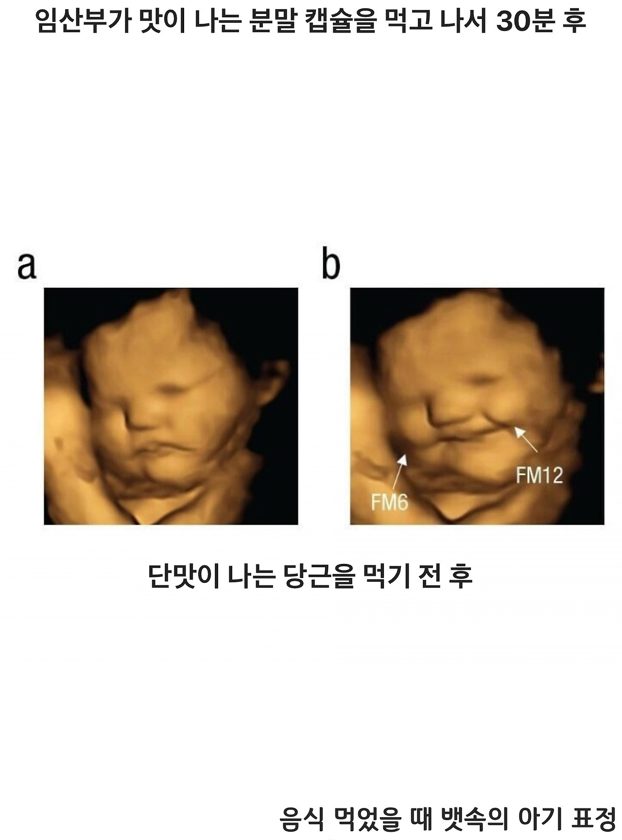 음식 먹었을 때 뱃속의 아기 표정