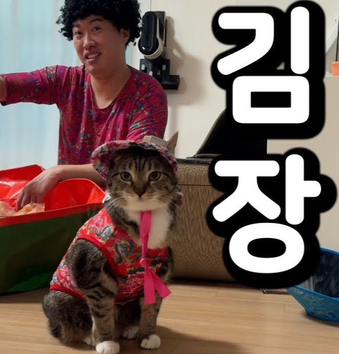 춘봉첨지(고양이) 코스프레 모음 | 인스티즈