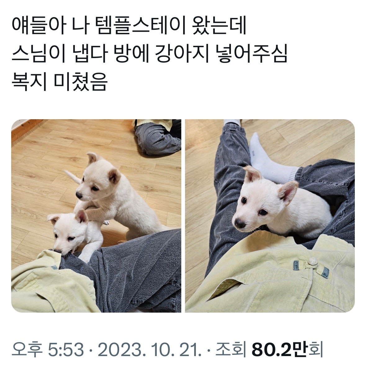  템플스테이 복지 수준