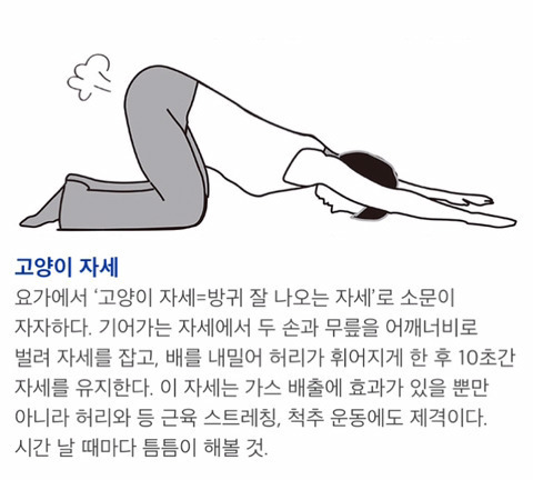 프로페셔널하게 방구 뀌는 방법 | 인스티즈