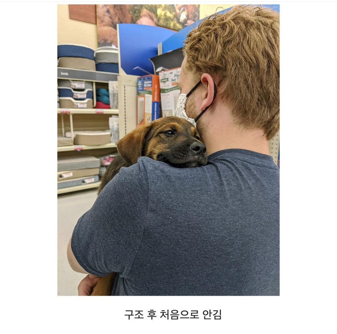 동물들이 처음 경험하는 순간들.jpg | 인스티즈