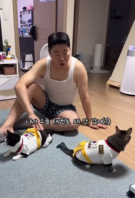춘봉첨지(고양이) 코스프레 모음 | 인스티즈