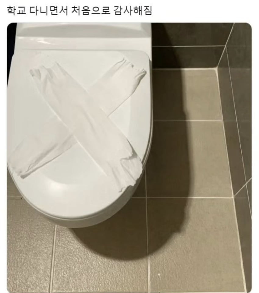  학교 다니면서 처음으로 감사해짐