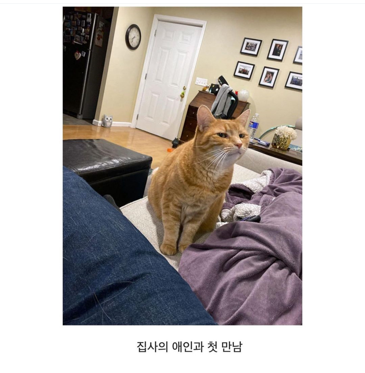동물들이 처음 경험하는 순간들.jpg | 인스티즈