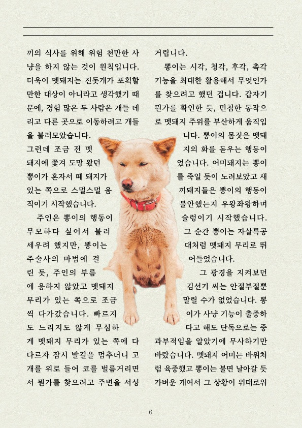 멧돼지 무리에 뛰어든 천재 '진돗개' | 인스티즈