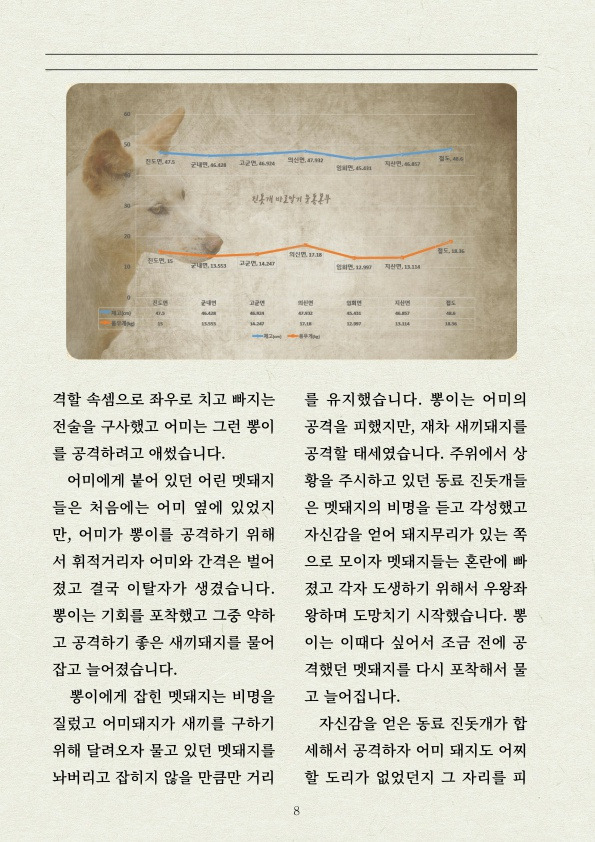 멧돼지 무리에 뛰어든 천재 '진돗개' | 인스티즈