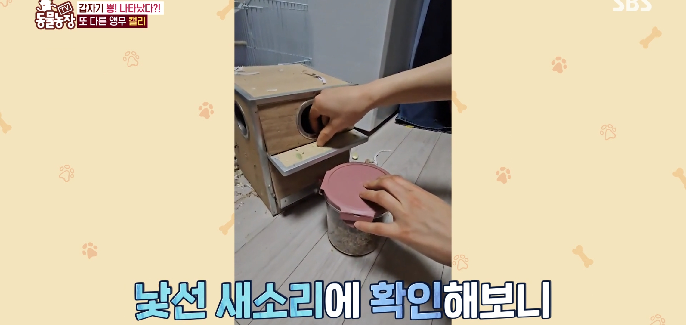 학계에 보고될 초희귀 사례급 반전인 오늘자 동물농장.jpg | 인스티즈