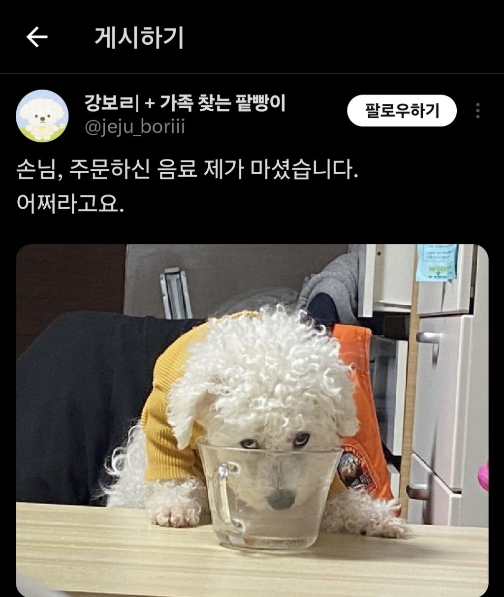 손님, 주문하신 음료 밟았습니다.twt | 인스티즈