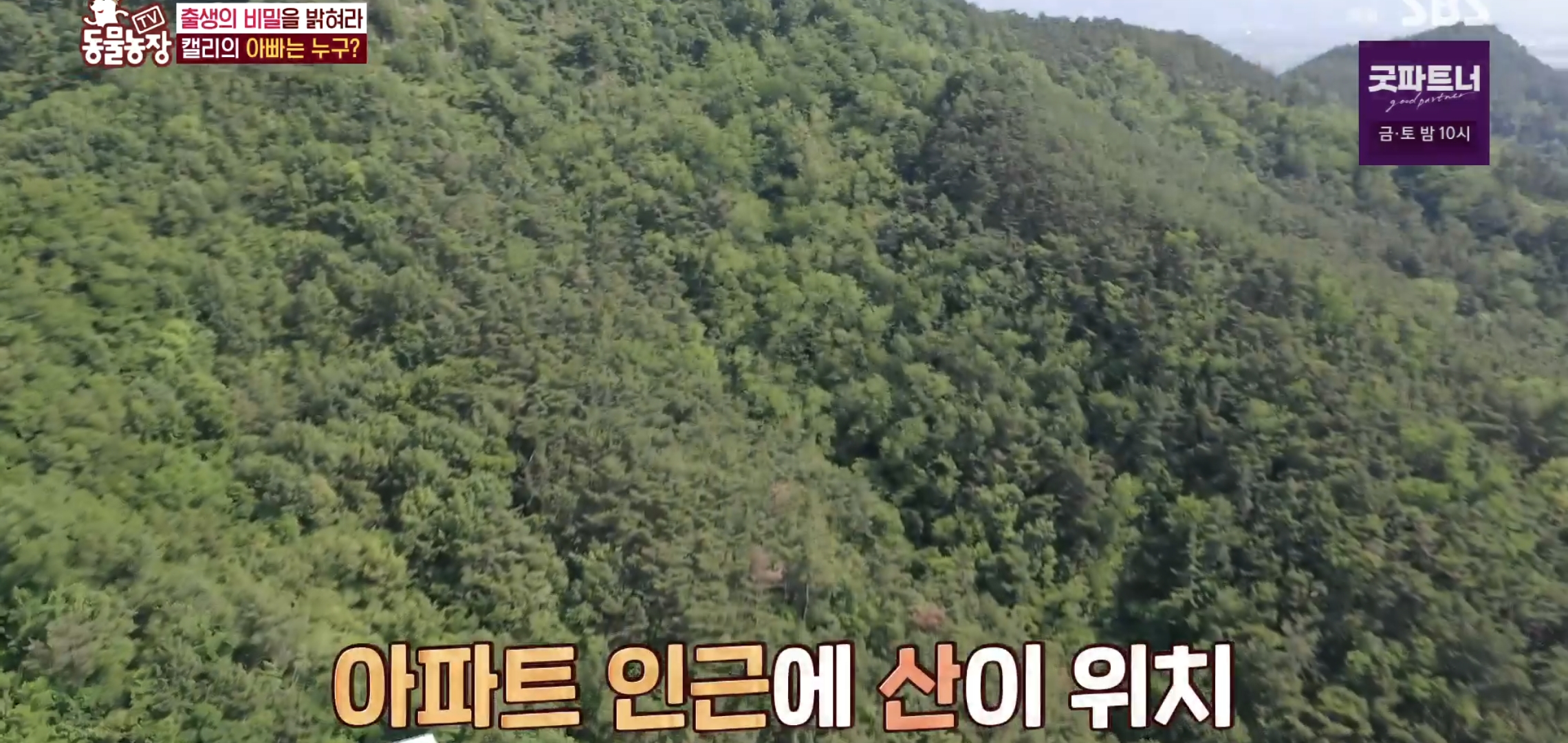 학계에 보고될 초희귀 사례급 반전인 오늘자 동물농장.jpg | 인스티즈