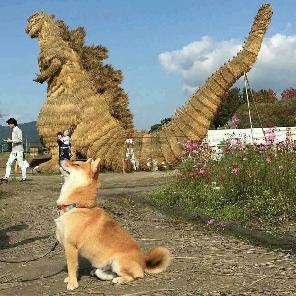 귀여운 가나디들 투척.jpg | 인스티즈