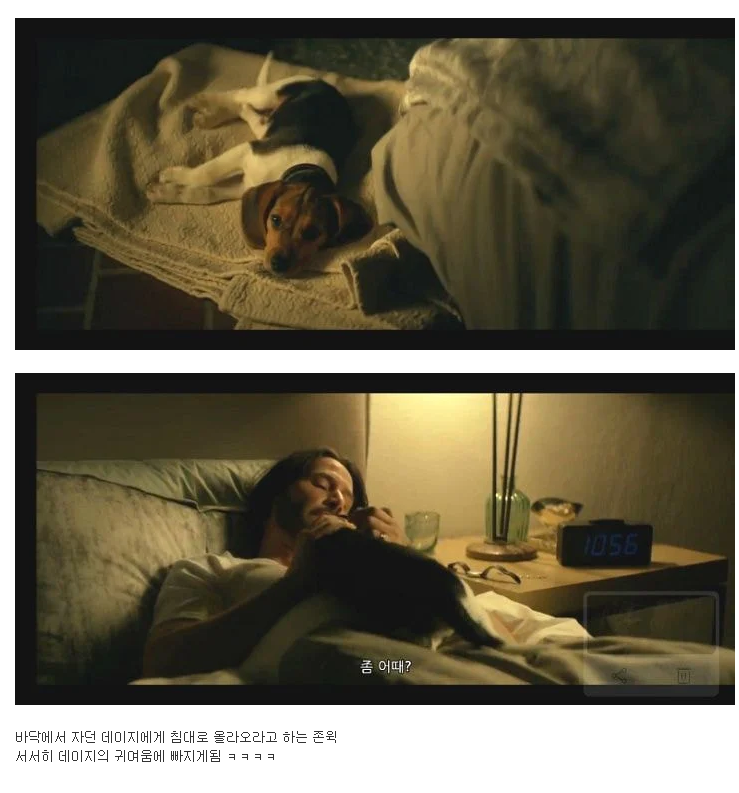 반려견 죽인새끼 복수하려고 사람 100명 죽이는 영화.JPG | 인스티즈