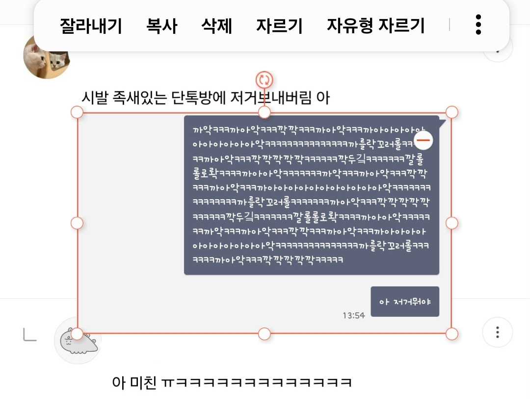 new 돌아온 2025년 방석 직달웃(스압주의) | 인스티즈