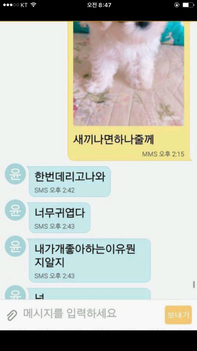  강아지 사진보내 제발.jpg
