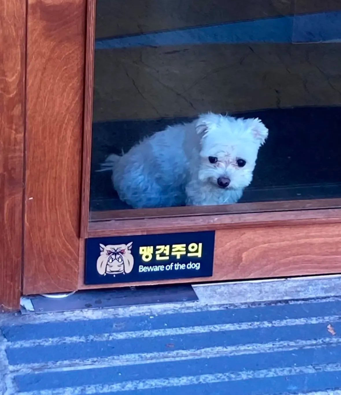 귀여운 가나디들 투척.jpg | 인스티즈