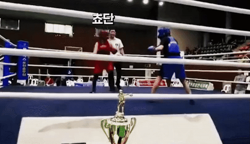  이 멤버 진지하게 현역 걸그룹 싸움 1황 가능 하다 vs 어렵다