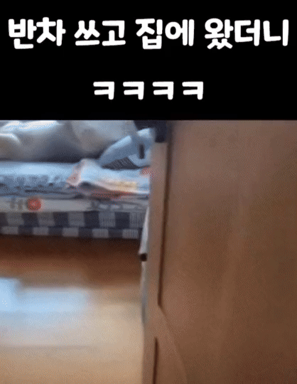 짤로 보는 할머니들 특징 | 인스티즈