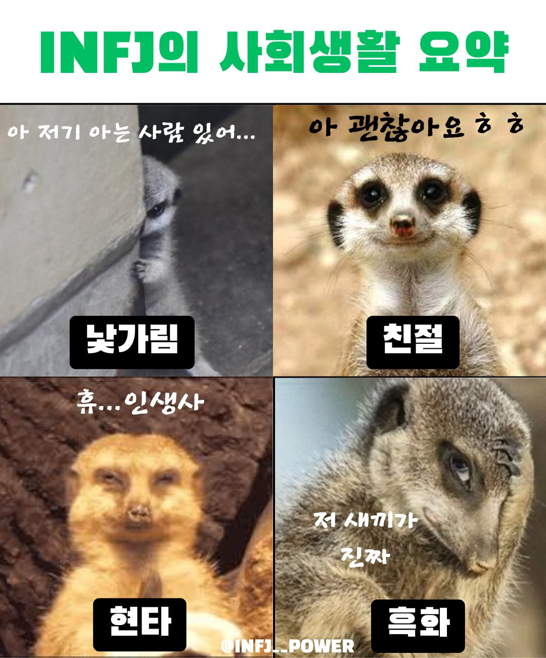  INFJ 사회생활 요약
