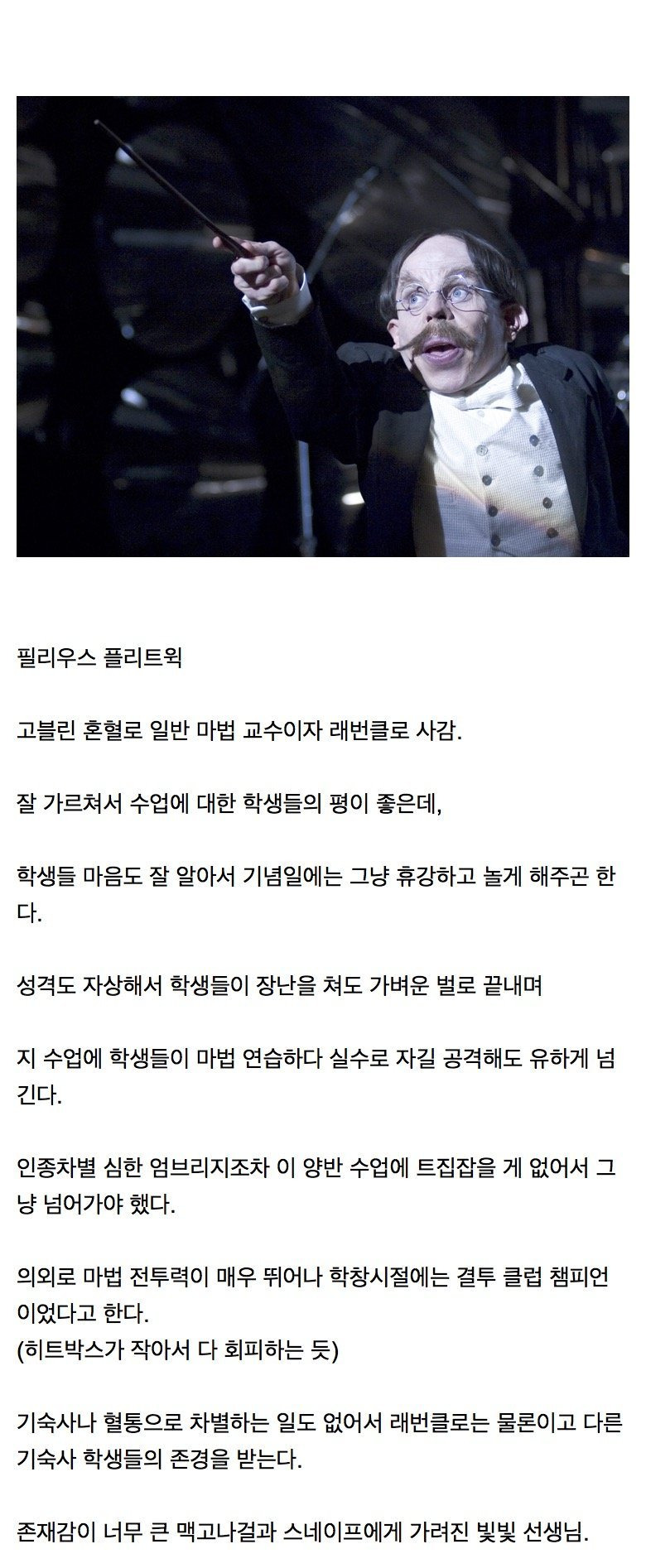  호그와트에서 의외로 언성히어로였던 교수