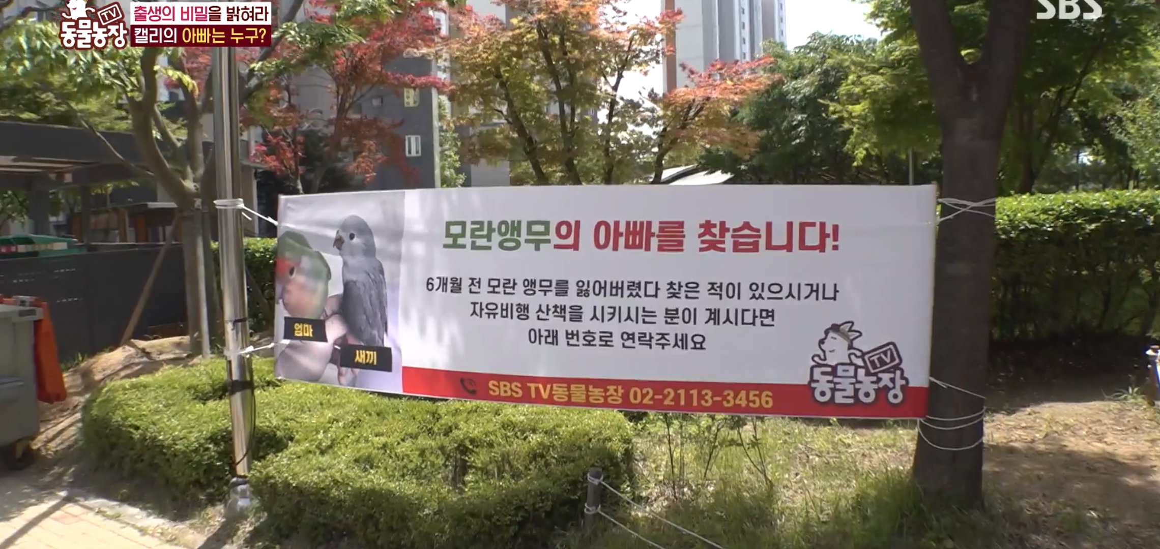 학계에 보고될 초희귀 사례급 반전인 오늘자 동물농장.jpg | 인스티즈