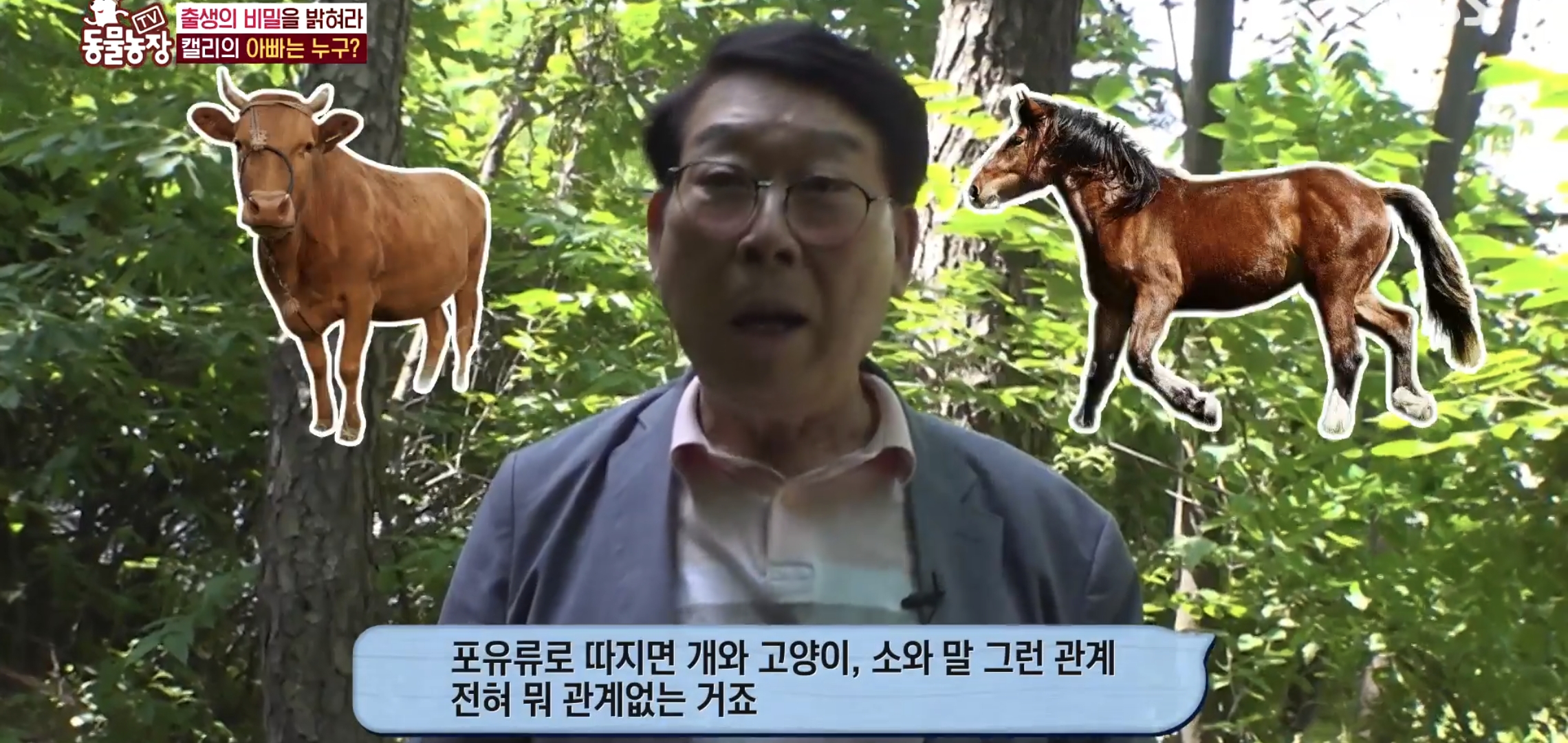학계에 보고될 초희귀 사례급 반전인 오늘자 동물농장.jpg | 인스티즈