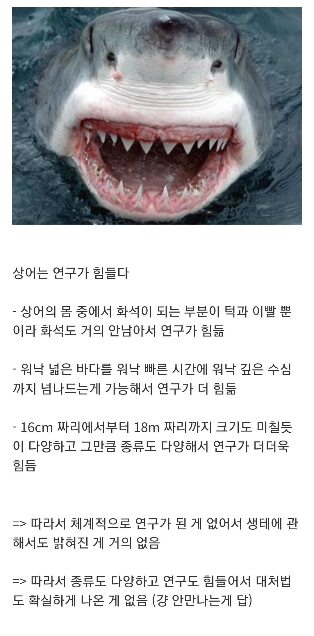 인지도는 최고 수준인데 정작 알려진 건 거의 없는 생물...jpg | 인스티즈