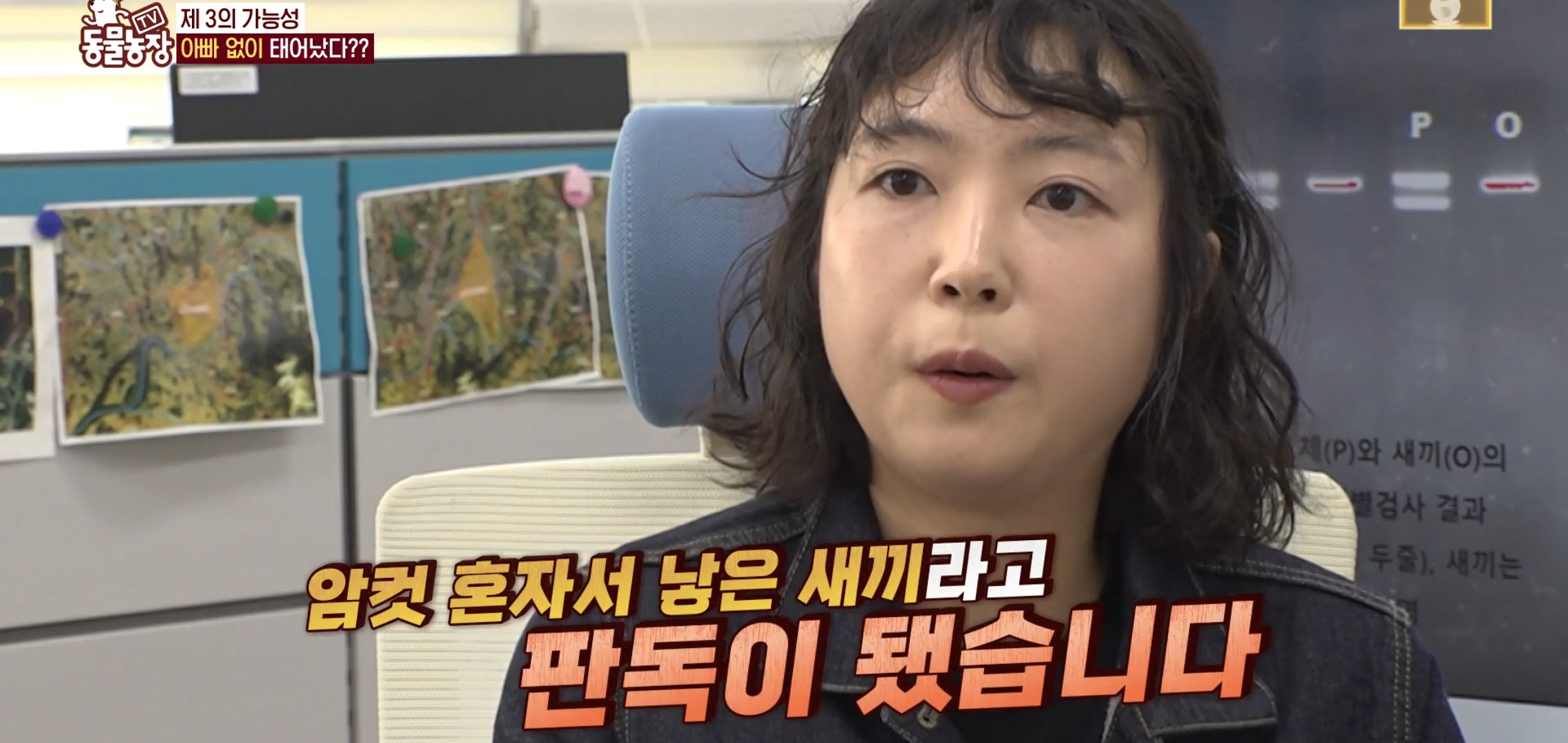 학계에 보고될 초희귀 사례급 반전인 오늘자 동물농장.jpg | 인스티즈