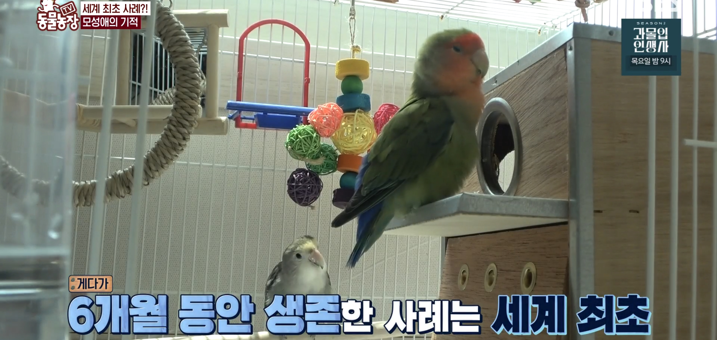 학계에 보고될 초희귀 사례급 반전인 오늘자 동물농장.jpg | 인스티즈