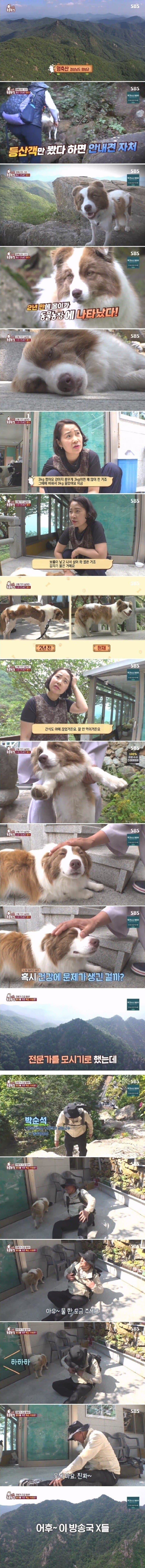  전문가에게 욕먹은 동물농장 제작진 ㅋㅋ