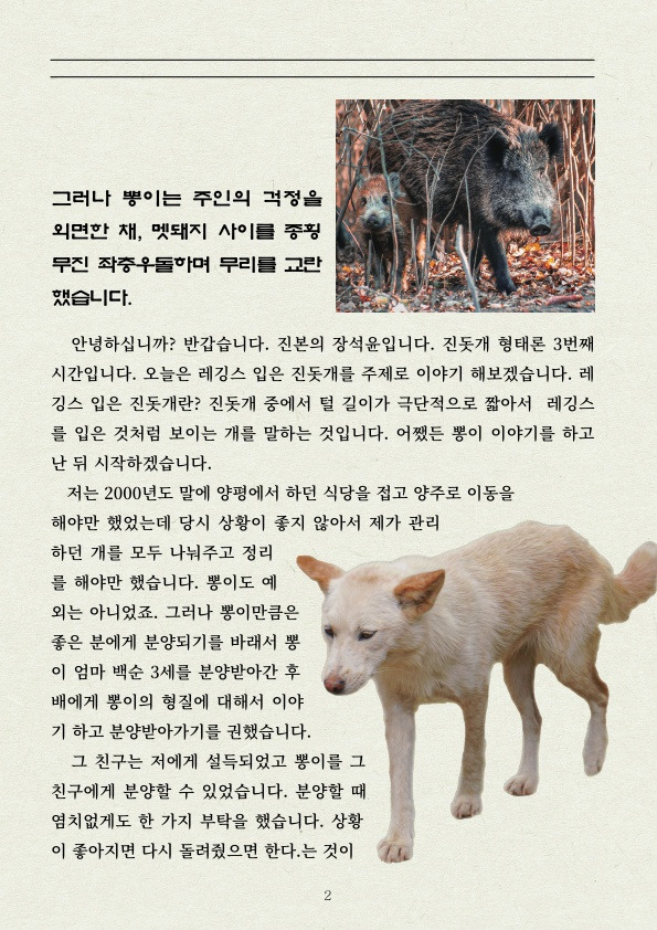 멧돼지 무리에 뛰어든 천재 '진돗개' | 인스티즈