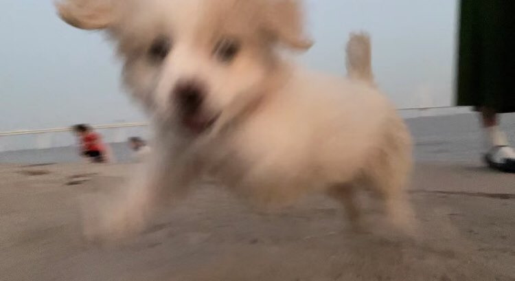 귀여운 가나디들 투척.jpg | 인스티즈