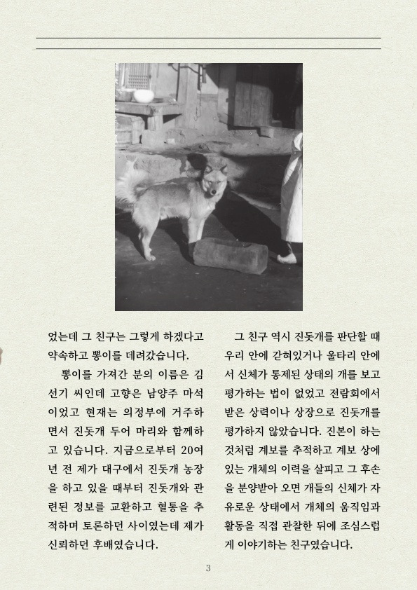 멧돼지 무리에 뛰어든 천재 '진돗개' | 인스티즈