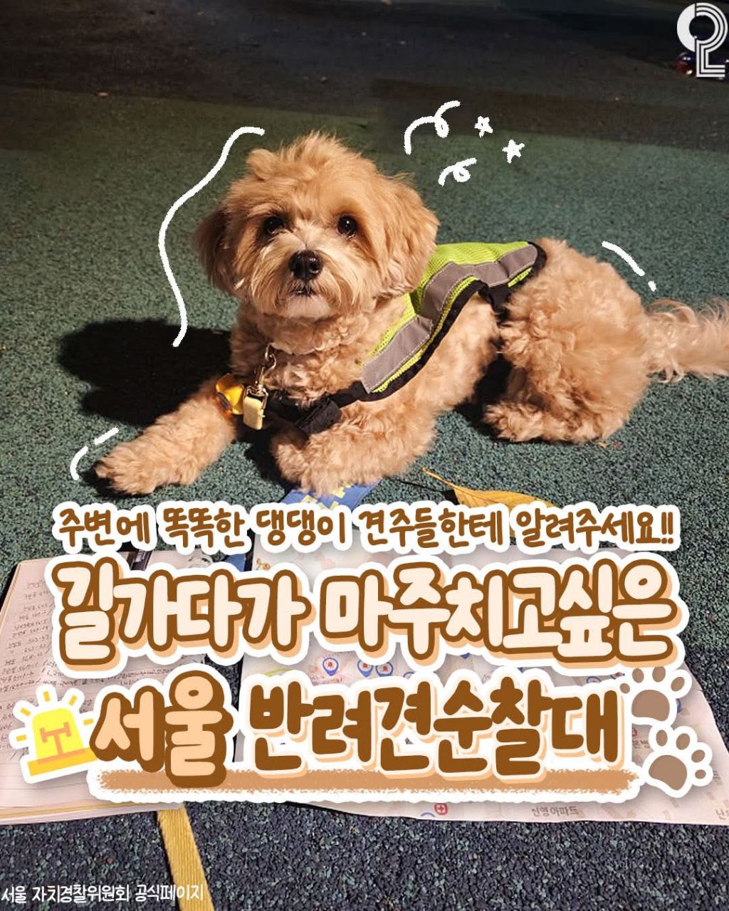  서울 반려견 순찰대