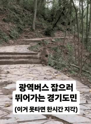  광역버스 잡으러 뛰어가는 경기도민1