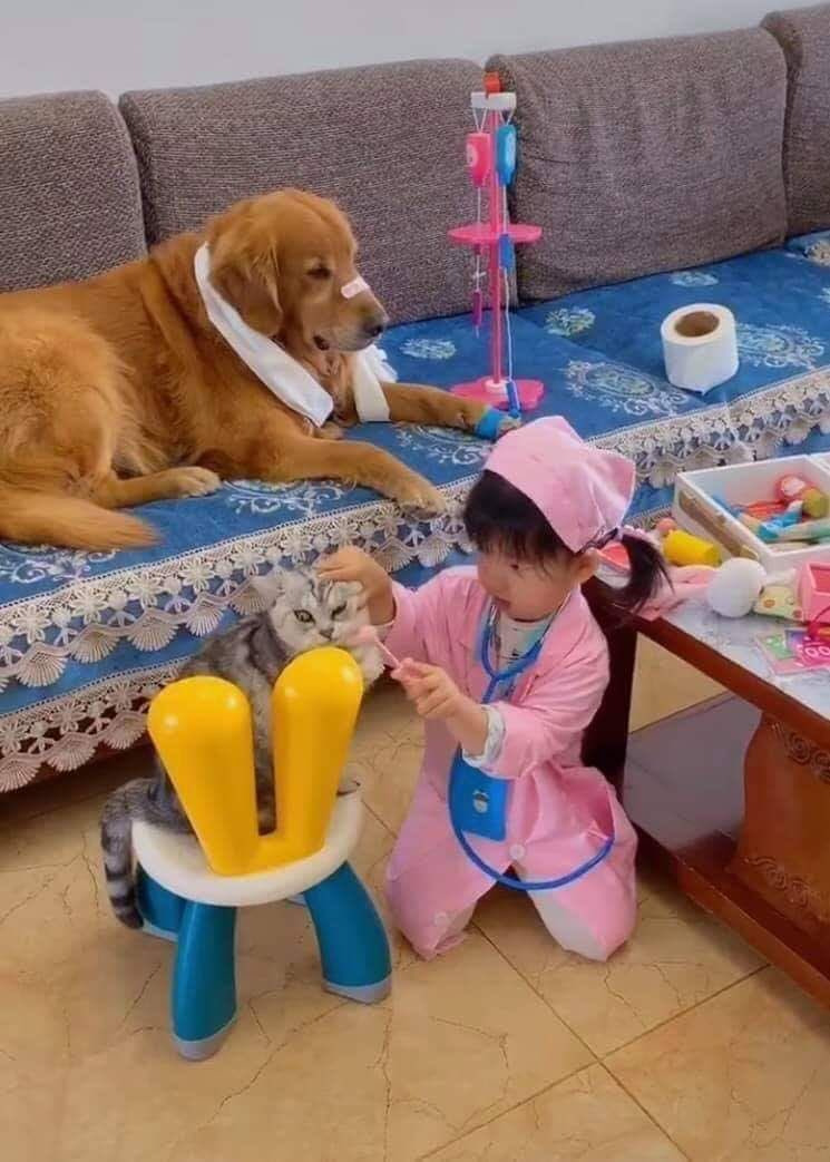 귀여운 가나디들 투척.jpg | 인스티즈
