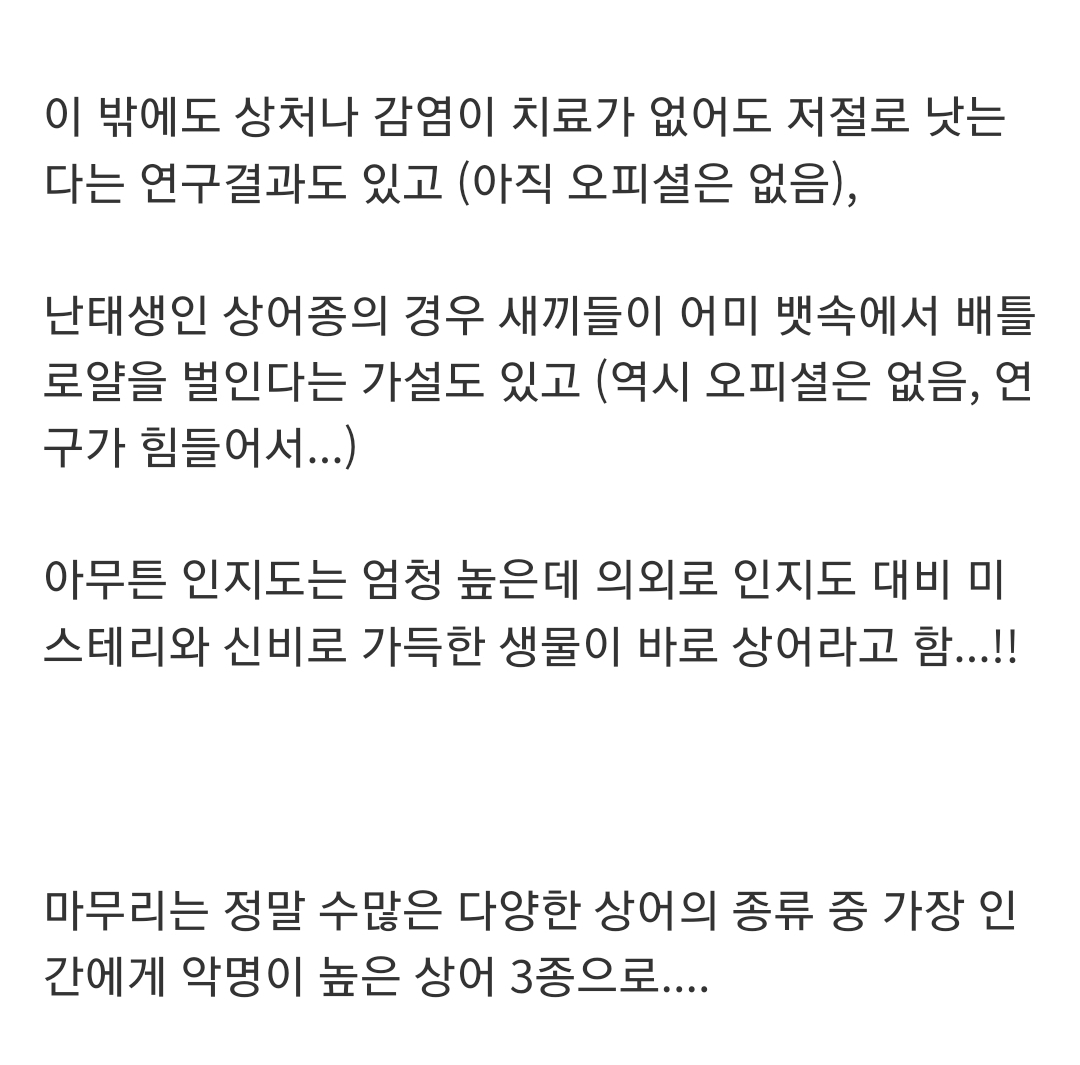 인지도는 최고 수준인데 정작 알려진 건 거의 없는 생물...jpg | 인스티즈