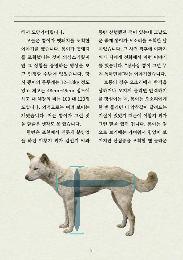 멧돼지 무리에 뛰어든 천재 '진돗개' | 인스티즈