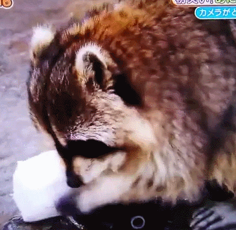  취업시 삶의 질 우선순위는?