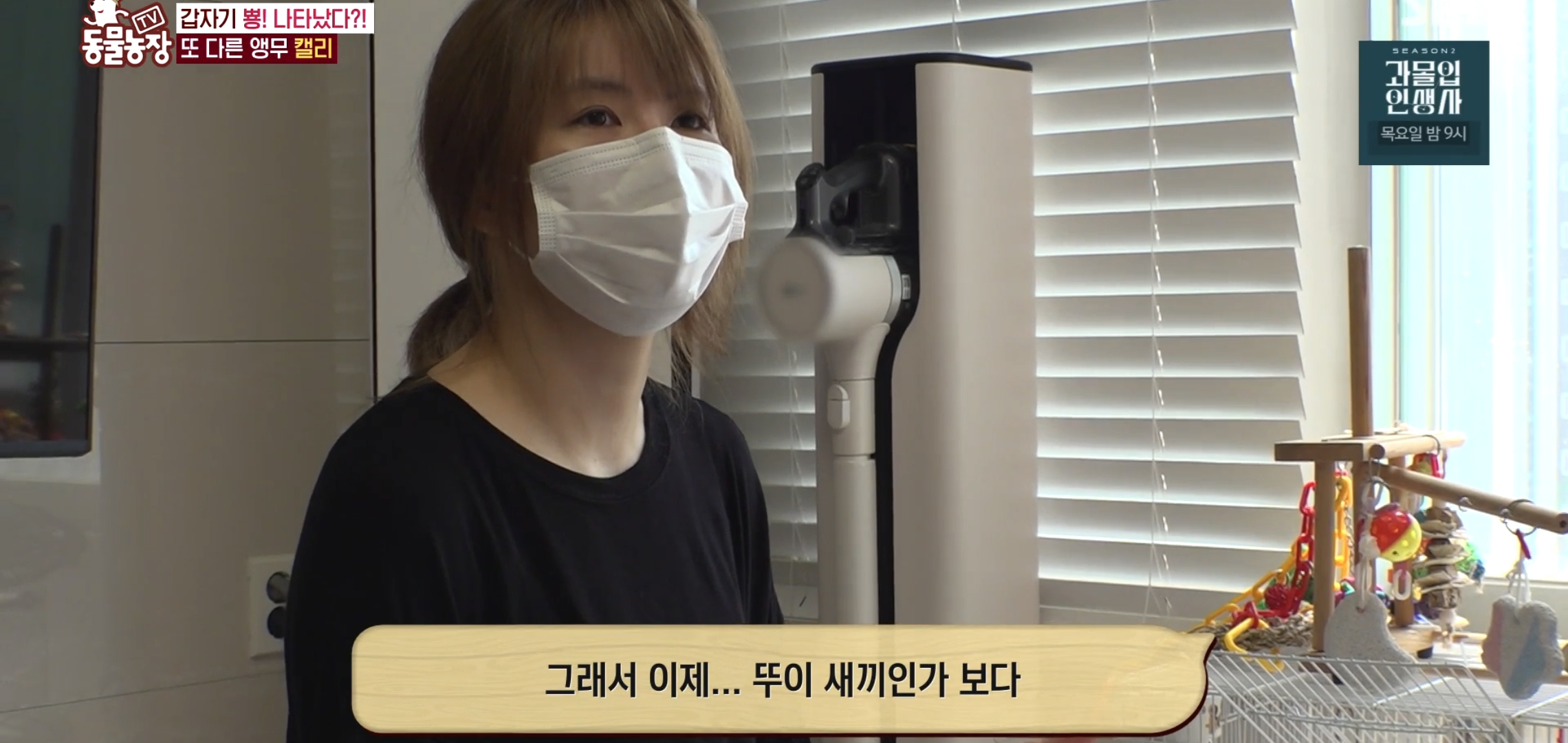 학계에 보고될 초희귀 사례급 반전인 오늘자 동물농장.jpg | 인스티즈