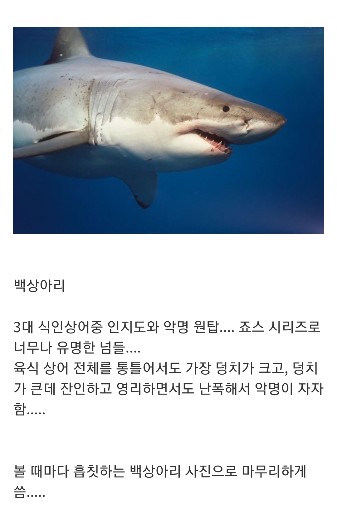 인지도는 최고 수준인데 정작 알려진 건 거의 없는 생물...jpg | 인스티즈