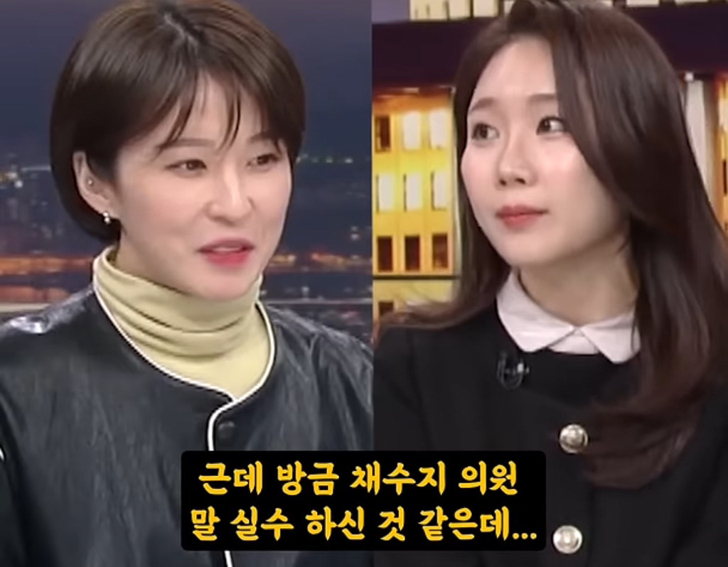 국민의힘 채수지 "김건희는 대통령실에서 같이 업무를 보고있다" (1년전) | 인스티즈