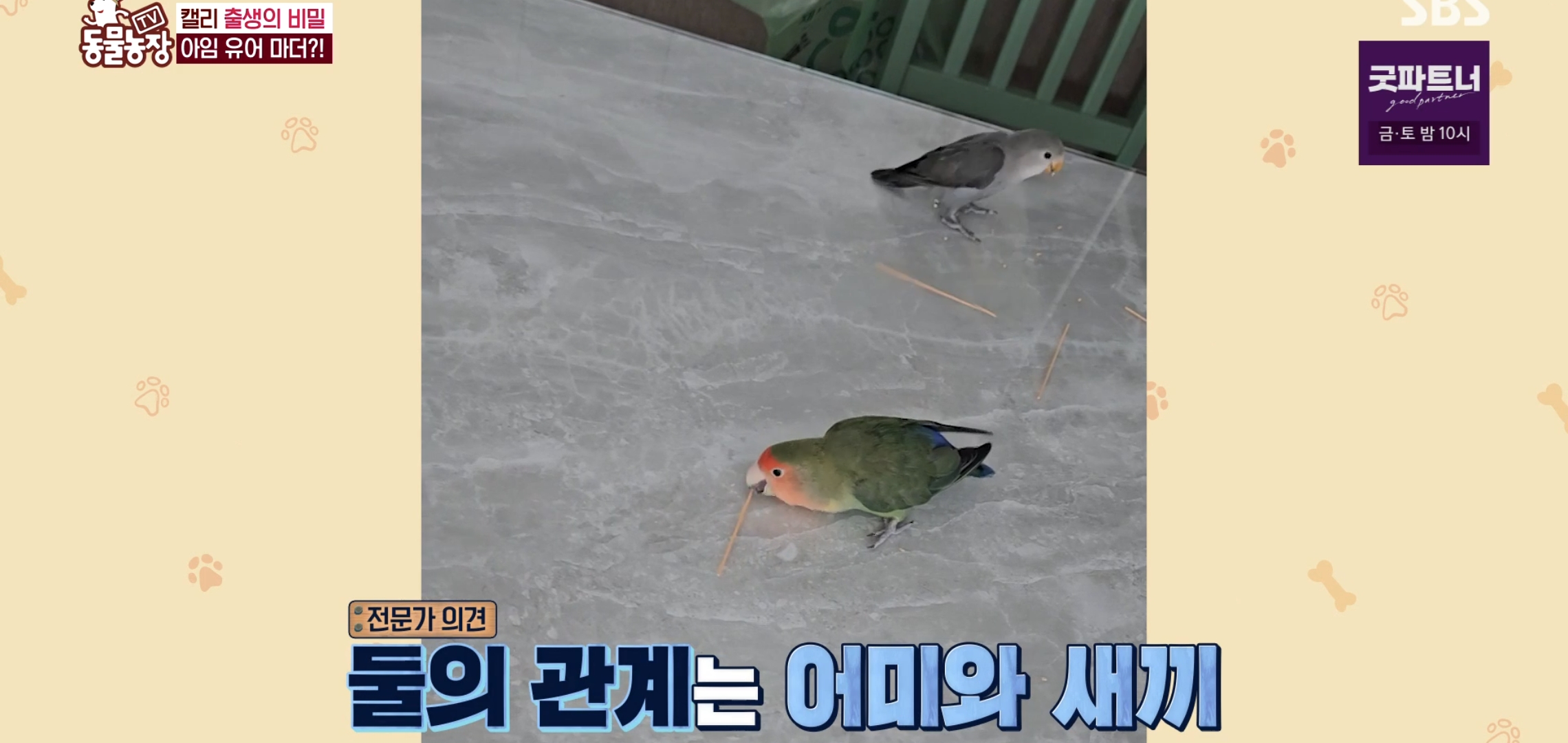 학계에 보고될 초희귀 사례급 반전인 오늘자 동물농장.jpg | 인스티즈