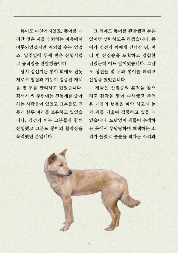 멧돼지 무리에 뛰어든 천재 '진돗개' | 인스티즈