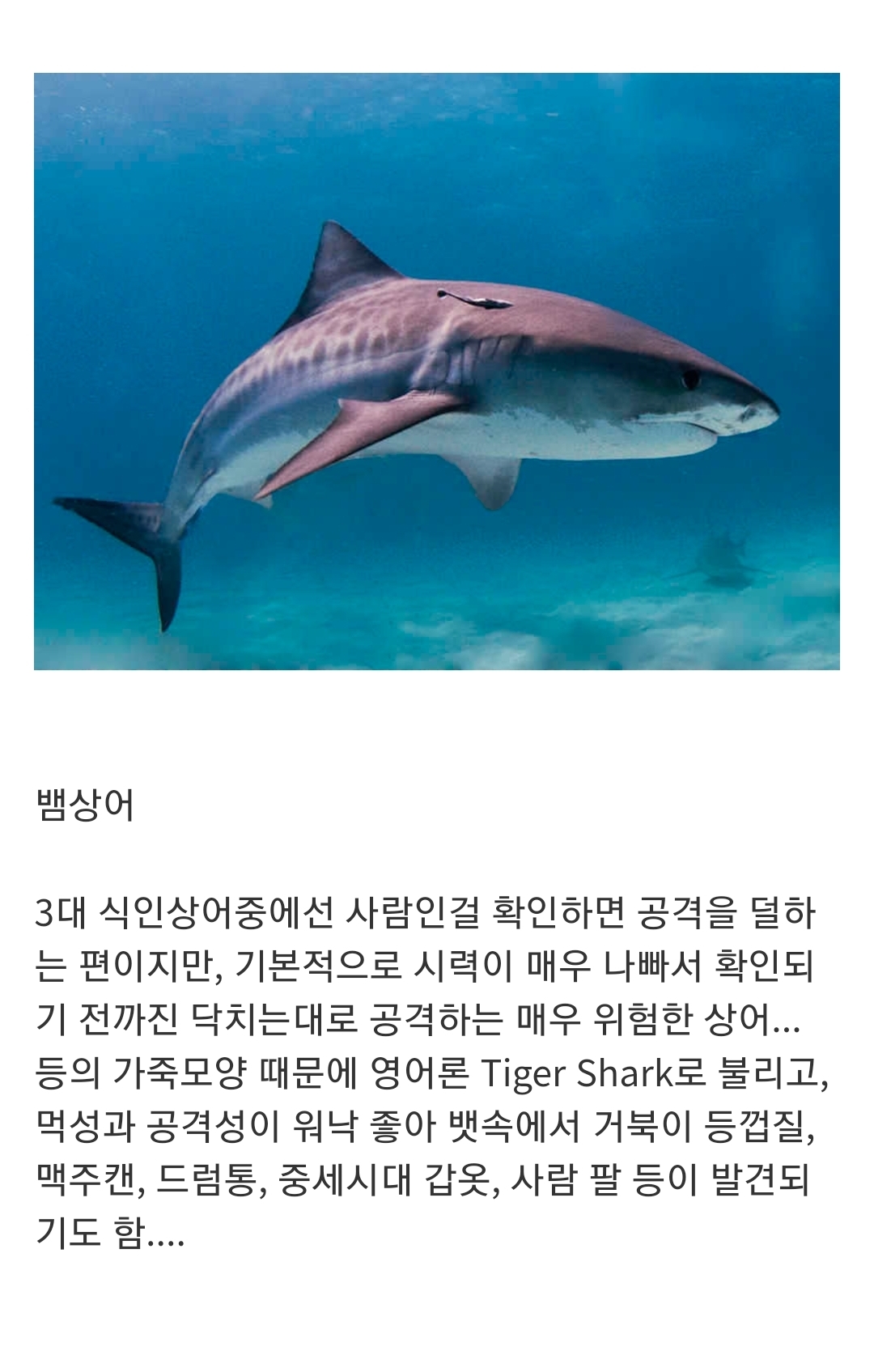 인지도는 최고 수준인데 정작 알려진 건 거의 없는 생물...jpg | 인스티즈