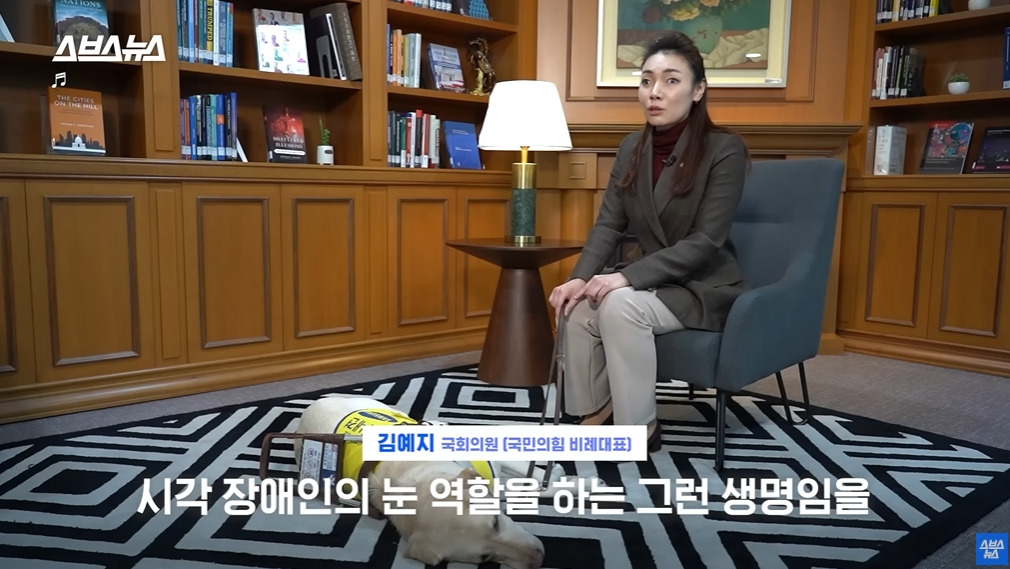 카메라 의식하는 안내견 조이 | 인스티즈