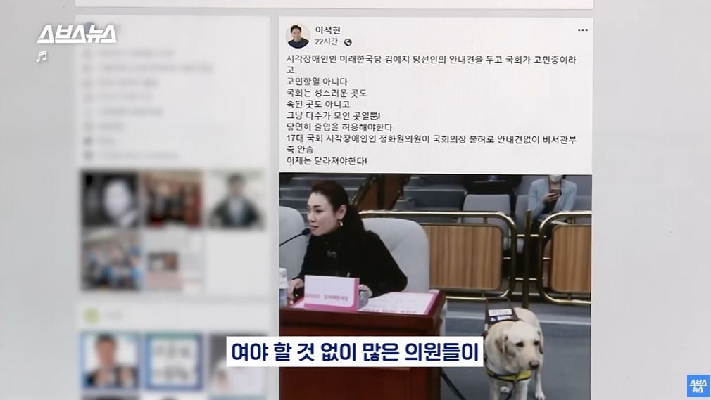 카메라 의식하는 안내견 조이 | 인스티즈